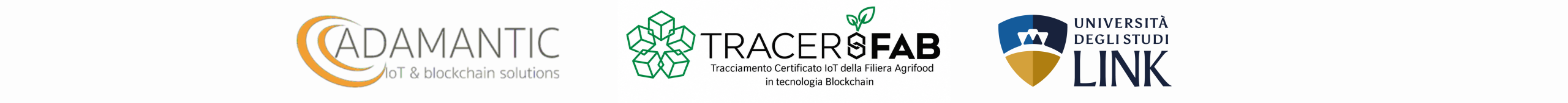 FASCIALOGHI-PROGETTO